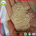 Hulled White Sesame Seeds for Export